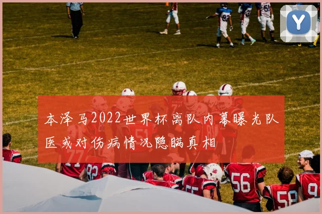本泽马2022世界杯离队内幕曝光队医或对伤病情况隐瞒真相