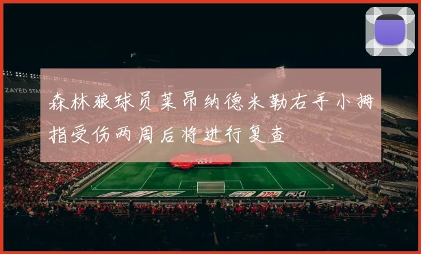 森林狼球员莱昂纳德米勒右手小拇指受伤两周后将进行复查