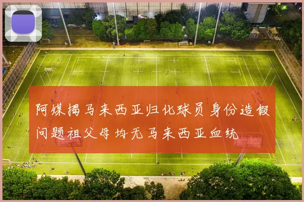 阿媒揭马来西亚归化球员身份造假问题祖父母均无马来西亚血统