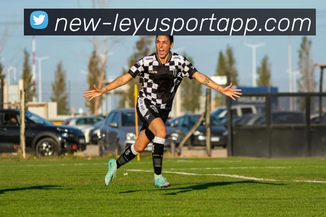 乐鱼体育品牌故事